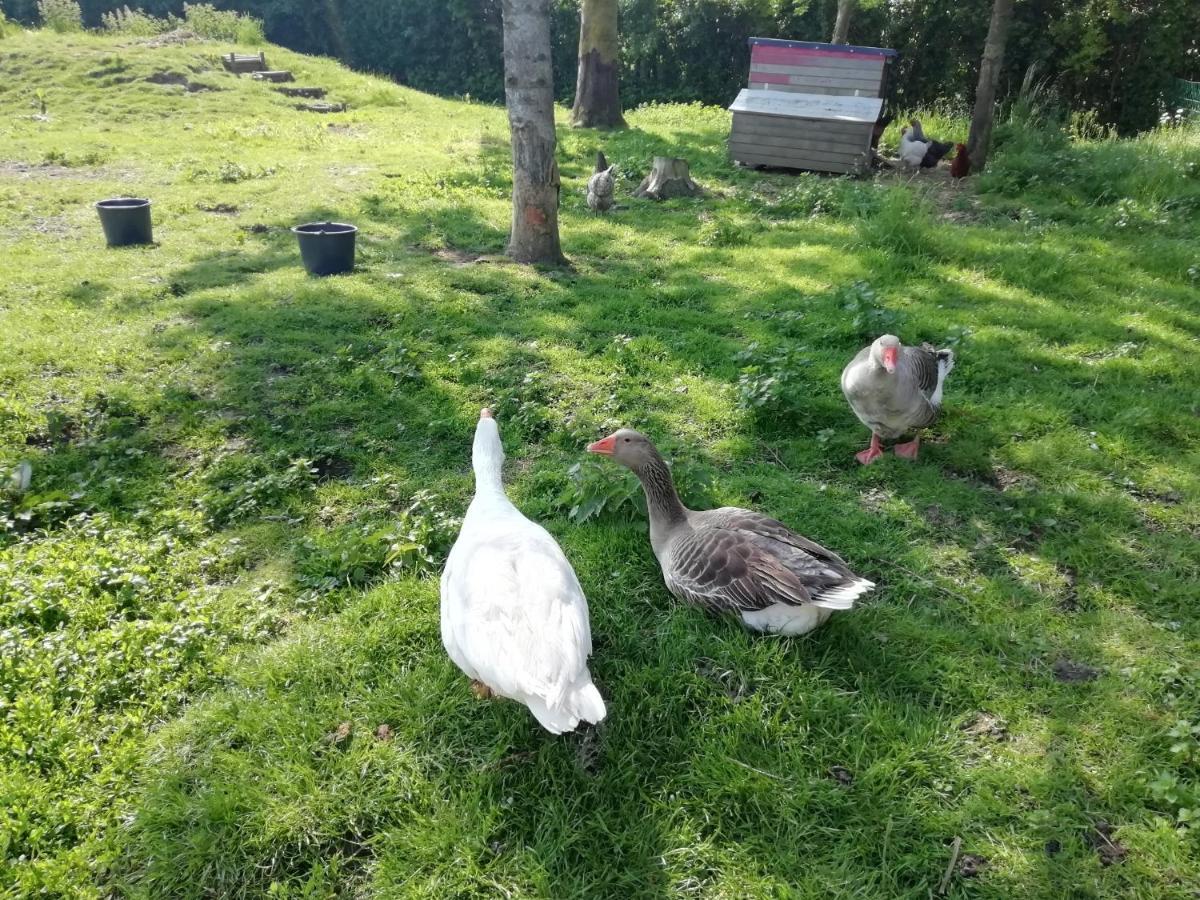 Etage A La Ferme Avec Piscine Interieure Privative, Selon Date Bassee Exterior foto